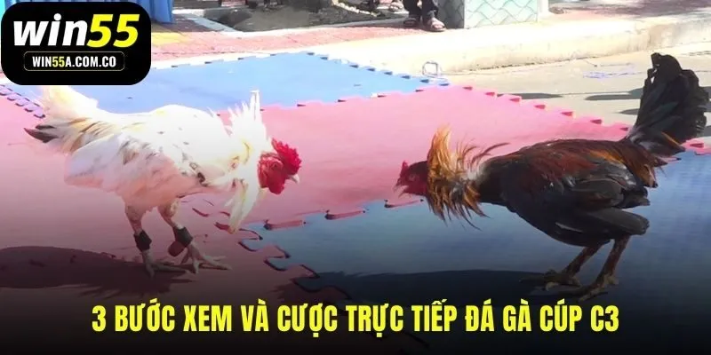 Bắt đầu cược Cúp C3 tại WIN55 qua 3 bước đơn giản