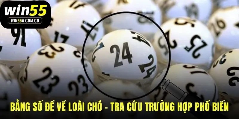 Tra cứu nhanh bộ số may mắn theo từng giấc mộng