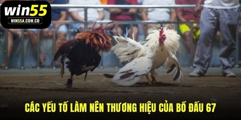 Quy mô chuyên nghiệp và luật chơi minh bạch làm nên danh tiếng