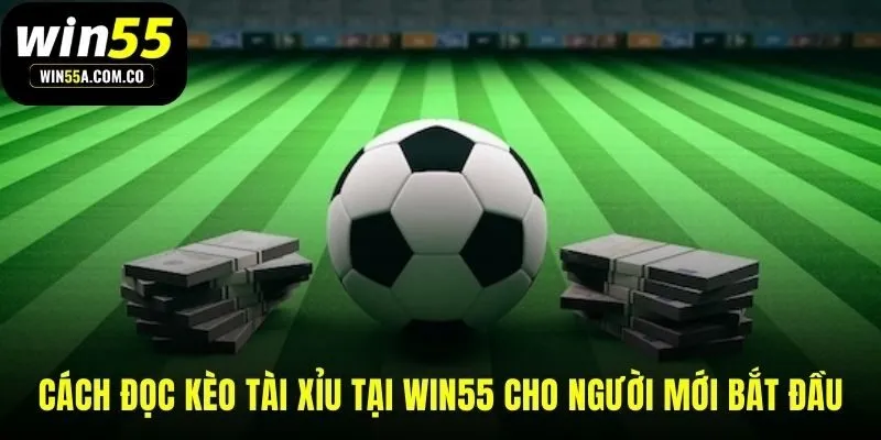 Đọc hiểu các mốc cược tài xỉu phổ biến tại WIN55