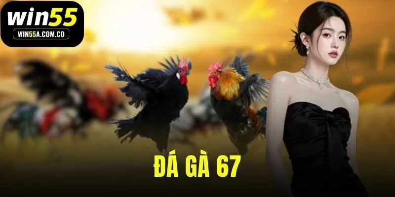 da-ga-67