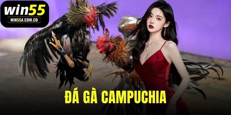da-ga-campuchia