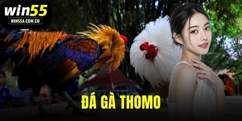 da-ga-thomo