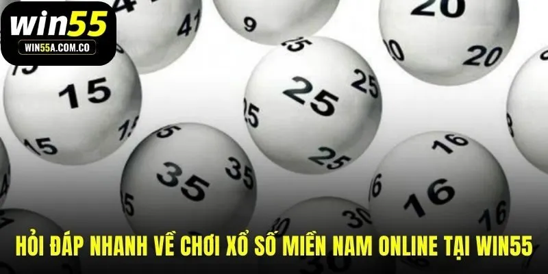 Giải đáp pháp lý giao dịch và đăng ký cho người mới