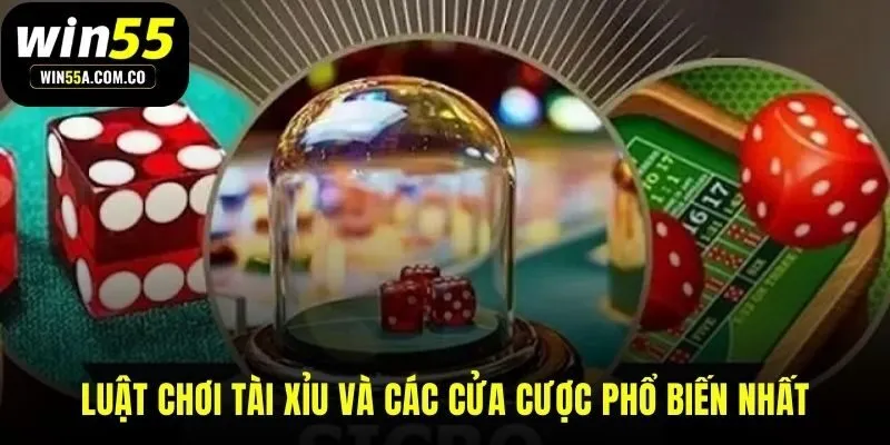 Luật chơi và các cửa cược phổ biến trong lắc xí ngầu online