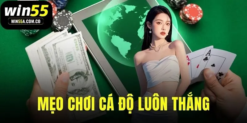 mẹo chơi cá độ luôn thắng – bí kíp giúp hạn chế trắng tay