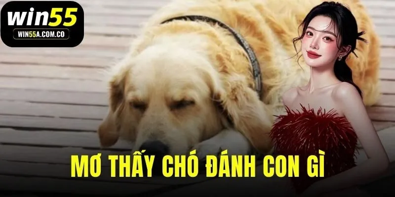 mo-thay-cho-danh-con-gi