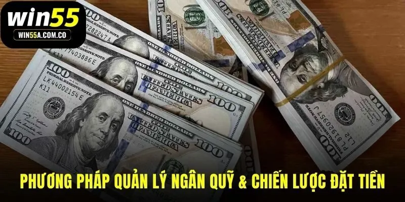 Các chiến lược tài chính thông minh nền tảng cho ổn định