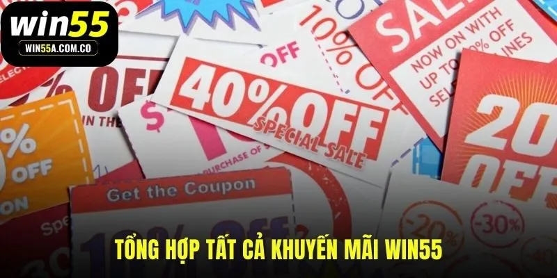 Các chương trình khuyến mãi WIN55 giúp gia tăng vốn cược